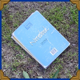 (Notebooks)